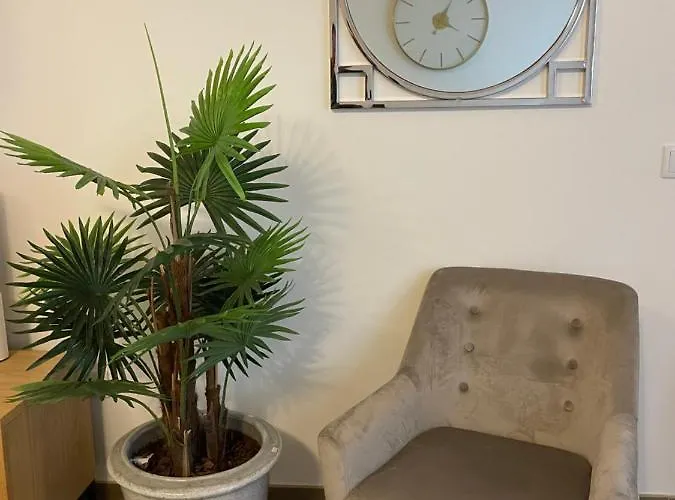 The Orange Tree - Terraco By Live And Willa Abrantes